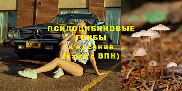 spice Кулебаки