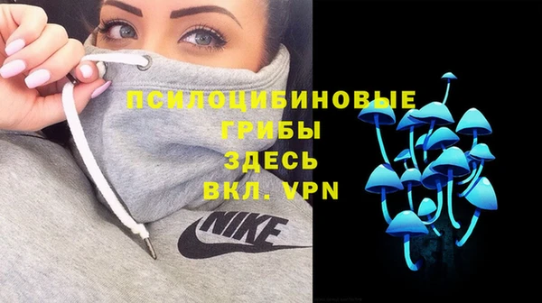 spice Кулебаки