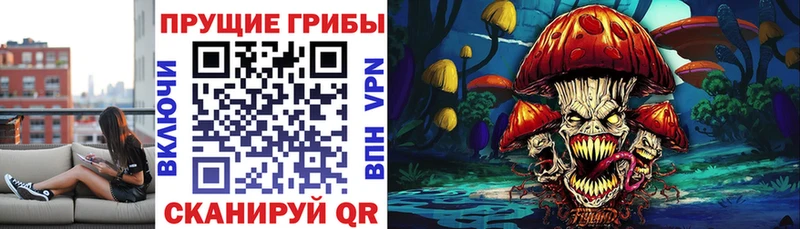 Псилоцибиновые грибы Psilocybine cubensis  Купить где  Удачный 